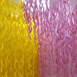 Museum of Sweets & Selfies - Paulay Budapest - Egyéb