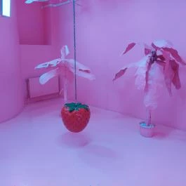 Museum of Sweets & Selfies - Paulay Budapest - Egyéb