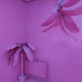 Museum of Sweets & Selfies - Paulay Budapest - Egyéb