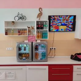 Museum of Sweets & Selfies - Paulay Budapest - Egyéb