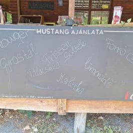 Mustang Étterem Tapolca - Egyéb