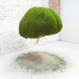 MűvészetMalom - Ferenczy Múzeumi Centrum, Szentendre - Egyéb