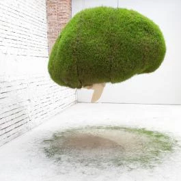 MűvészetMalom - Ferenczy Múzeumi Centrum, Szentendre - Egyéb