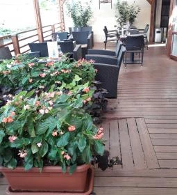 Múzeumkert Étterem