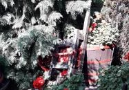 Nádas Csárda Gyenesdiás