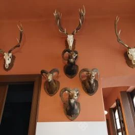 Nádasdy-kastély Nádasdladány - Belső