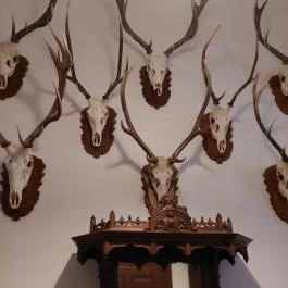 Nádasdy-kastély Nádasdladány - Belső