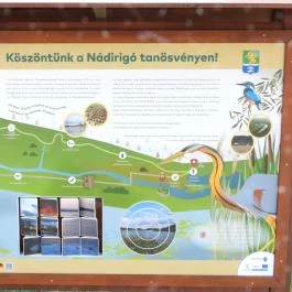 Nádirigó tanösvény Tiszakécske - Egyéb
