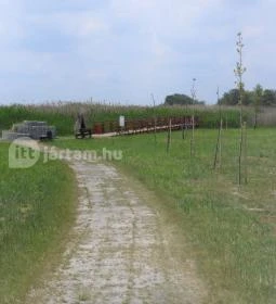 Nádirigó tanösvény