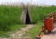 Nádirigó tanösvény Tiszakécske