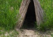 Nádirigó tanösvény Tiszakécske