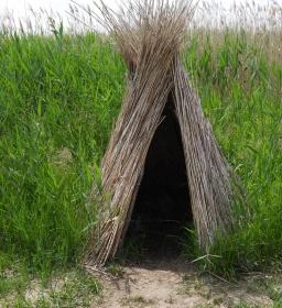 Nádirigó tanösvény