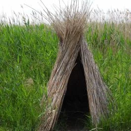 Nádirigó tanösvény Tiszakécske - Külső kép