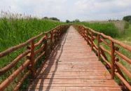 Nádirigó tanösvény Tiszakécske