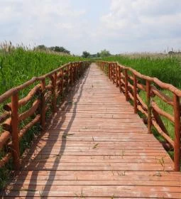 Nádirigó tanösvény