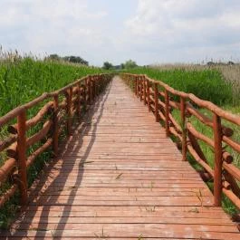 Nádirigó tanösvény Tiszakécske - Külső kép