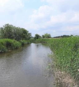 Nádirigó tanösvény