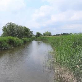 Nádirigó tanösvény Tiszakécske - Külső kép
