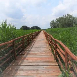 Nádirigó tanösvény Tiszakécske - Külső kép