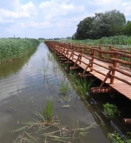 Nádirigó tanösvény