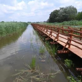 Nádirigó tanösvény Tiszakécske - Külső kép