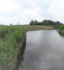 Nádirigó tanösvény