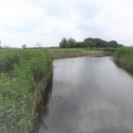 Nádirigó tanösvény Tiszakécske - Külső kép