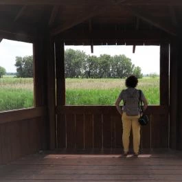 Nádirigó tanösvény Tiszakécske - Egyéb