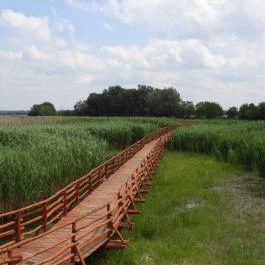 Nádirigó tanösvény Tiszakécske - Külső kép