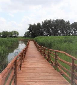 Nádirigó tanösvény