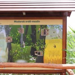 Nádirigó tanösvény Tiszakécske - Egyéb