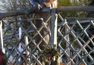 Nagy Imre szobra Budapest