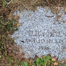 A nagy tanári kar Nagykőrös - Egyéb