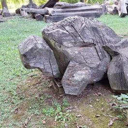 Nagyatádi Nemzetközi Faszobrász Alkotótelep - Szoborpark Nagyatád - Egyéb