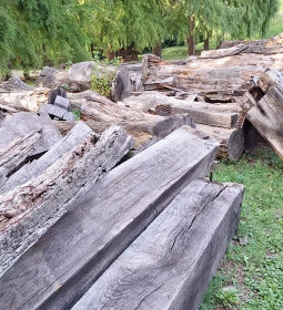 Nagyatádi Nemzetközi Faszobrász Alkotótelep - Szoborpark