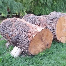 Nagyatádi Nemzetközi Faszobrász Alkotótelep - Szoborpark Nagyatád - Egyéb