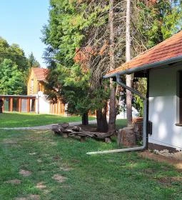 Nagyatádi Nemzetközi Faszobrász Alkotótelep - Szoborpark