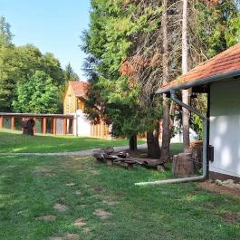 Nagyatádi Nemzetközi Faszobrász Alkotótelep - Szoborpark Nagyatád - Külső kép