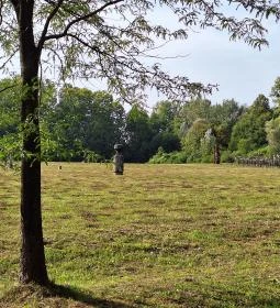 Nagyatádi Nemzetközi Faszobrász Alkotótelep - Szoborpark