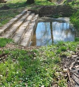 Nagyboldogasszony-bazilika