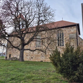 Nagyboldogasszony-templom Tereske - Külső kép