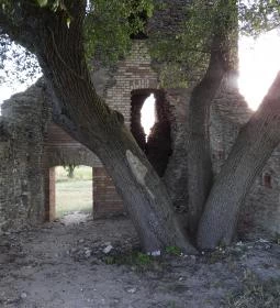 Nagykeszi Templomrom