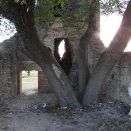 Nagykeszi Templomrom Gyepükaján - Külső kép