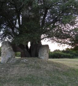 Nagykeszi Templomrom