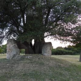 Nagykeszi Templomrom Gyepükaján - Külső kép