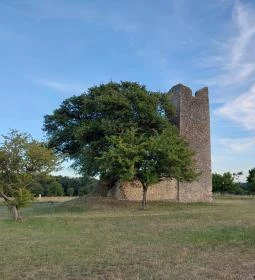 Nagykeszi Templomrom