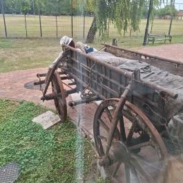 Nagykőrösi Arany János Kulturális Központ - Arany János Közérdekű Muzeális Gyűjtemény Nagykőrös - Egyéb