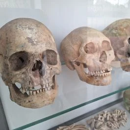 Nagykőrösi Arany János Kulturális Központ - Arany János Közérdekű Muzeális Gyűjtemény Nagykőrös - Egyéb