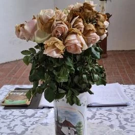 Nagyszekeresi református templom Nagyszekeres - Egyéb