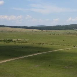 Nagyvázsonyi katonai torony kilátó Nagyvázsony - Külső kép